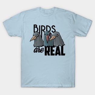 Birds Are Real - Black T-Shirt